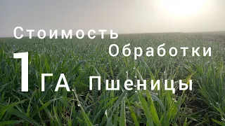 УРОЖАЙ 🌾  ВСЁ  СКАЖЕТ. апреля 2024 г.