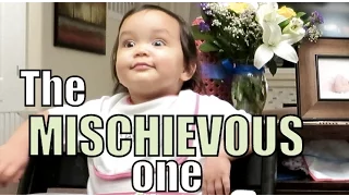 The MISCHIEVOUS One! - February 18, 2016 -  ItsJudysLife Vlogs