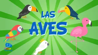 LAS AVES | Vídeos Educativos para Niños