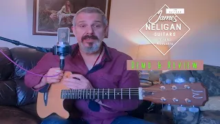 Do you need a Solid Top Acoustic Guitar? James Neligan EW3000C Demo & Review.