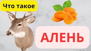 Настоящий Мужик - что это значит?