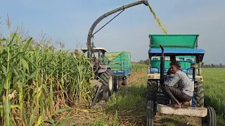 🌽 corn silage harvester celikel challenger 3 new holland 9010 DHWANANJAY SILAGE BAYAD 9265461212