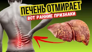 12 Ранних Признаков того, что ваша ПЕЧЕНЬ ОТМИРАЕТ. 90% с проблемами печени даже не знают об этом.