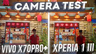 Vivo X70 Pro Plus vs Xperia 1 III: Сравнение камер