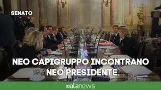 Senato, i neo presidenti dei gruppi incontrano Casellati