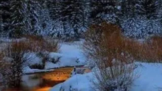 Antonio Vivaldi  -  Winter (audio)