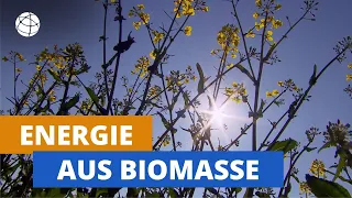 Energie aus Biomasse - total phänomenal | Planet Schule