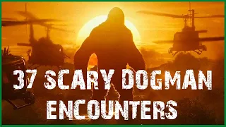 37 SCARY DOGMAN ENCOUNTERS (COMPILATION)