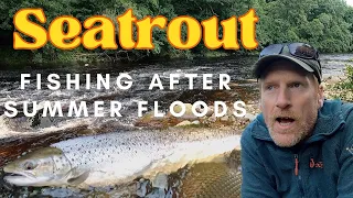 Fishing Spate rivers for Seatrout after Summer Floods