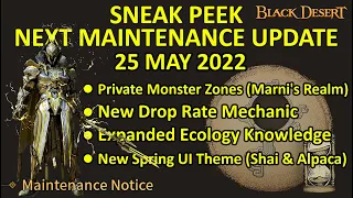 Private Monster Zones, New Drop Rate Mechanic & Ecology (Black Desert Online Sneak Peek 25 May 2022)