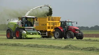 Loonbedrijf Reimink aan het gras hakselen met Claas Jaguar 950 en 2 Massey Ferguson trekkers (2022)