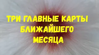 Выбери карту 🔮💯 100% ПРЕДСКАЗАНИЕ НА БЛИЖАЙШИЙ МЕСЯЦ 💯🔮 ГАДАНИЕ ОНЛАЙН НА ТАРО