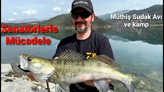 SENATÖRLERLE MÜCADELE! MÜTHİŞ SUDAK AVI VE KAMP. #sudakavı #kamp#zanderfishing #atçeksudakavı