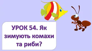ЯДС 2 клас. Урок 54. Як зимують комахи та риби?