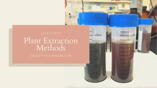 Plant Extraction Methods - Decoction and Maceration | JPTV