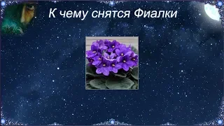 К чему снятся Фиалки (Сонник)