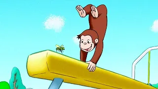 Jungle Gym 🐵Curious George 🐵Kids Cartoon 🐵Kids Movies 🐵Videos for Kids