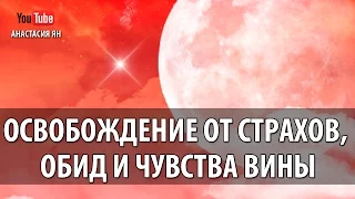 Освобождение От Страхов, Обид И Чувства Вины #Сольфеджио Частоты Вознесения 396 Гц Активация Днк