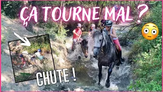 [COURS] Baignade à cheval et CHUTE !😂 24/06/23 - CS'o Landreau