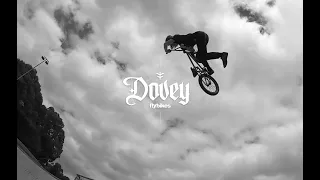 FLYBIKES - DOVEY