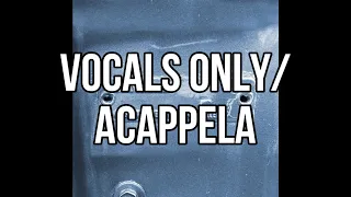 Post Malone , Morgan Wallen - I Had Some Help - Acapella/Vocals Only