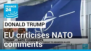 'NATO cannot be an alliance a la carte,' says EU's Borrell after Trump comments • FRANCE 24