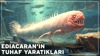 Dinozorlardan Önce: Ediacaran Yaratıklarının Kayıp Çağının Gizemleri