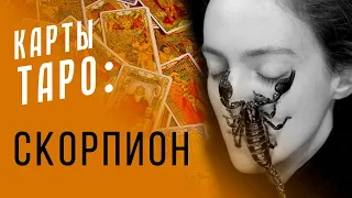 ГЛАВНАЯ карта Таро Скорпионов / Астропсихология и карты Таро #8