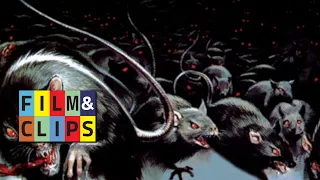 Rats - Night of Terror - Intro Ita - Clip by Film&Clips