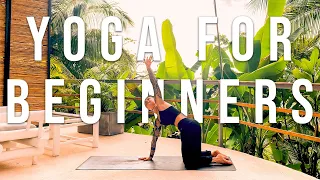 Yoga for Complete Beginners - 25 minute Slow, Gentle, Relaxing, Beginner Stretch Yoga Workout