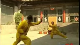 Li LuoNeng Xingyi Quan (李洛能与形意拳)