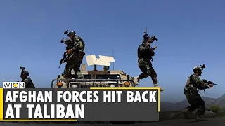 Afghan special forces, Taliban clashes in Herat | Afghanistan | WION Ground report | English News