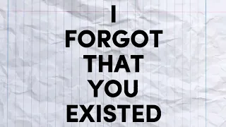 Taylor Swift - I Forgot That You Existed (Lyric Video)