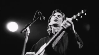 Townes Van Zandt - Tecumseh Valley and Dead Flowers (Live 1994)