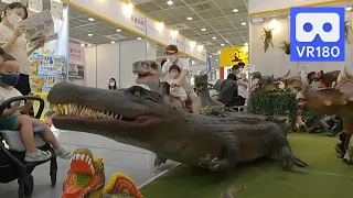 3D VR 180 4K Wow Giant Alligators & Dinosaurs