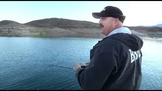 Big Swimbaits on Topwater for Stripers and Bass