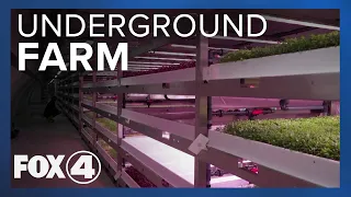 Bomb shelter turned underground farm