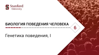 Биология поведения человека: Лекция #6. Генетика поведения, I [Роберт Сапольски, 2010. Стэнфорд]