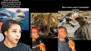 Animals That Have BEEF - Hood Nature | Reaction