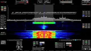 SuperWolf Overmodulation