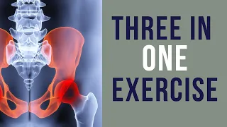 Osteitis Pubis I Adductor Pain I Groin Pain - ONE Exercise