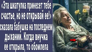 Шкатулка принесет счастье, но не открывай ее! сказала бабушка на последнем дыхании. А когда открыла