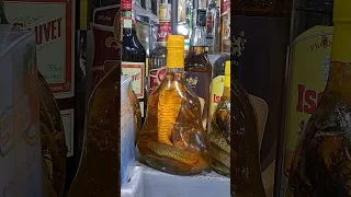 Saigon Vietnam | Snake Alcohol Drink 🍷