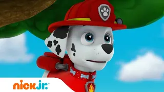 Paw Patrol - La Squadra dei Cuccioli | Marshall è un cucciolo fortunato! | Nick Jr.