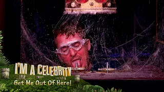 Trial Tease: Shane goes to the Cruel Jewels! | I'm A Celebrity... Get Me Out Of Here!