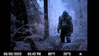 Shocking Bigfoot Encounters Caught on Trail Cam