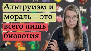 Откуда взялись наши "чисто человеческие" качества / Как избавиться от тошноты беременных