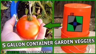 Best Vegetables to Grow in 5 Gallon Buckets | Container Gardening