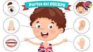 PARTES del  CUERPO en  INGLÉS 👄 👀 🖐 Aprende Inglés para niños 🌈