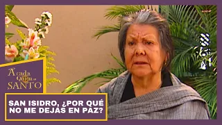 San Isidro, ¿por qué no me dejas en paz? | A Cada Quien Su Santo